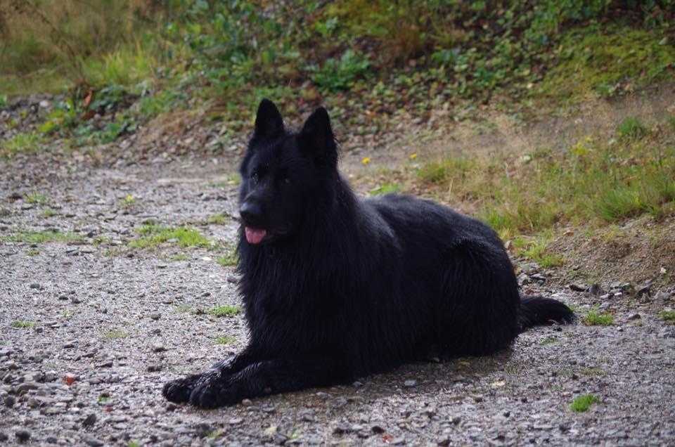 2) 04.09.2016. (Patricia) (10)