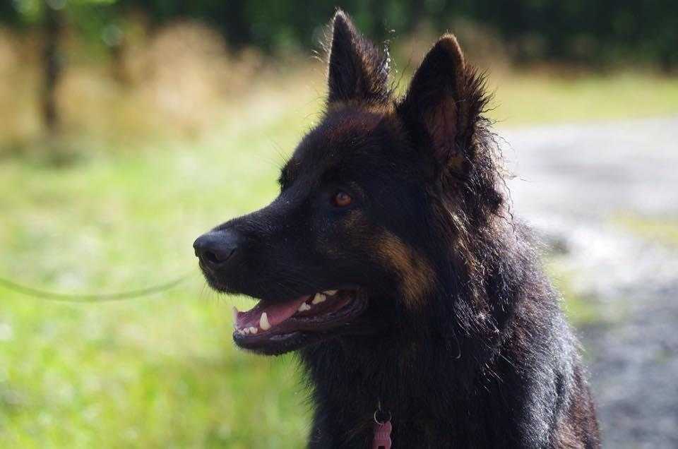 2) 04.09.2016. (Patricia) (13)