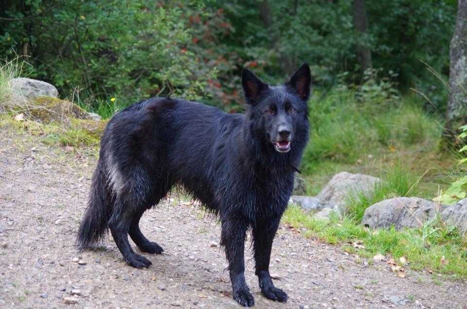 2) 04.09.2016. (Patricia) (14)