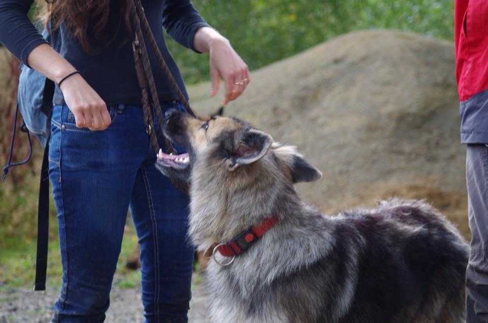 2) 04.09.2016. (Patricia) (19)