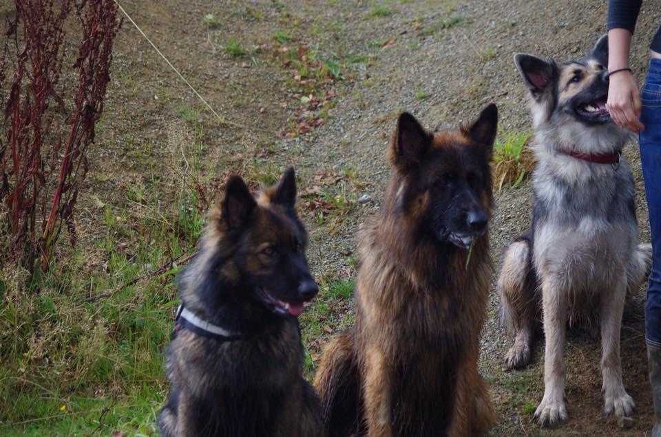 2) 04.09.2016. (Patricia) (20)