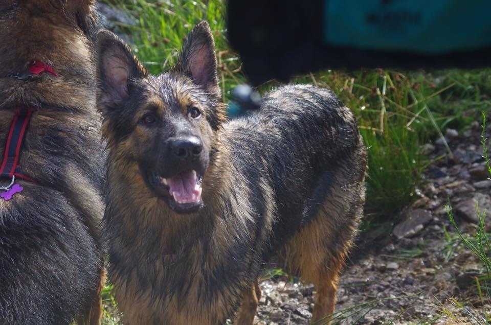 2) 04.09.2016. (Patricia) (6)