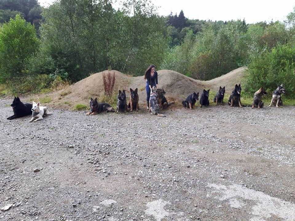 3) 04.09.2016. (Elo) (3)