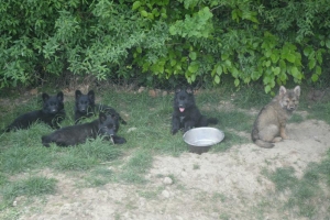 10) 12.05.2018 (4) - Copie