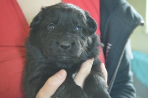 5) 15.04.2018 (15) - Copie