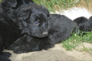 6) 22.04.2018 (12) - Copie