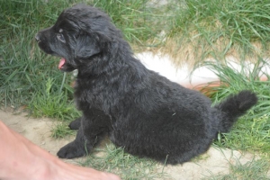 6) 22.04.2018 (14) - Copie