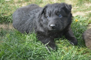 6) 22.04.2018 (5) - Copie