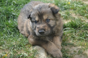 6) 22.04.2018 (7) - Copie