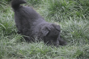 7) 29.04.2018 (10) - Copie