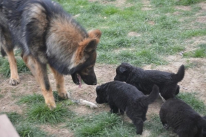 7) 29.04.2018 (13) - Copie