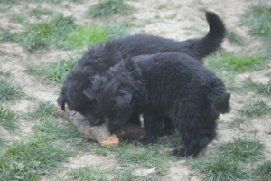 7) 29.04.2018 (18) - Copie