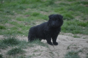 7) 29.04.2018 (21) - Copie