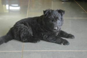 7) 29.04.2018 (31) - Copie