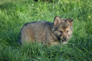 8) 06.05.2018 (1) - Copie