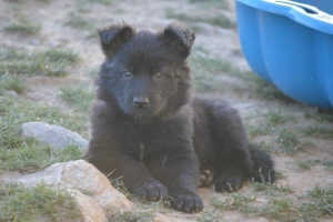 8) 06.05.2018 (12) - Copie