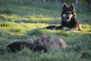 8) 06.05.2018 (19) - Copie