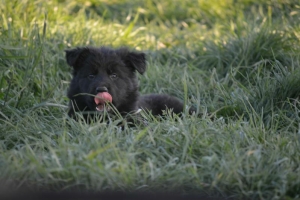 8) 06.05.2018 (20) - Copie