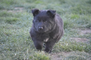 8) 06.05.2018 (22) - Copie