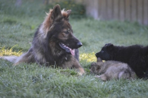 8) 06.05.2018 (31) - Copie