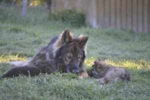 8) 06.05.2018 (32) - Copie