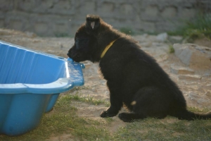 8) 06.05.2018 (9) - Copie