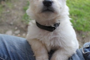 15) 26.09.2012. Visite Misa (115)