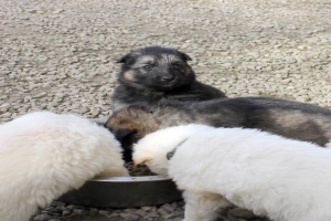 15) 26.09.2012. Visite Misa (29)