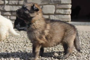 15) 26.09.2012. Visite Misa (31)