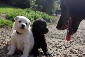 15) 26.09.2012. Visite Misa (41)