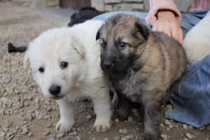 15) 26.09.2012. Visite Misa (53)