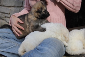 15) 26.09.2012. Visite Misa (54)