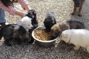 15) 26.09.2012. Visite Misa (6)