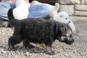 15) 26.09.2012. Visite Misa (65)