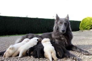 15) 26.09.2012. Visite Misa (72)