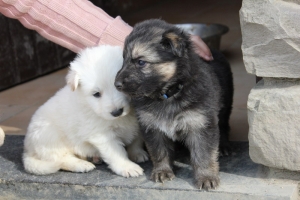 15) 26.09.2012. Visite Misa (76)